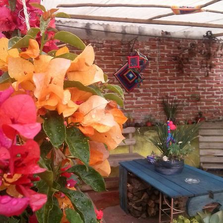 Hostal Nahui Ollin San Cristobal de las Casas Bagian luar foto