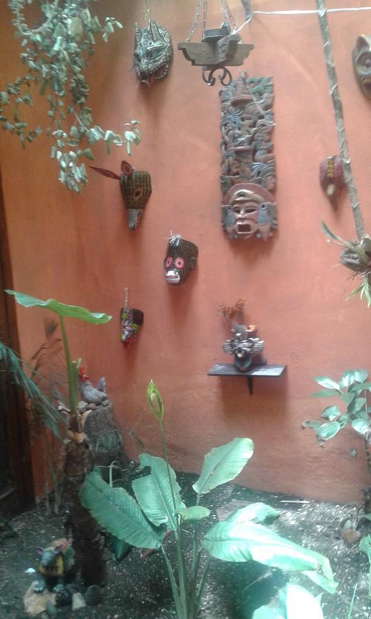 Hostal Nahui Ollin San Cristobal de las Casas Bagian luar foto