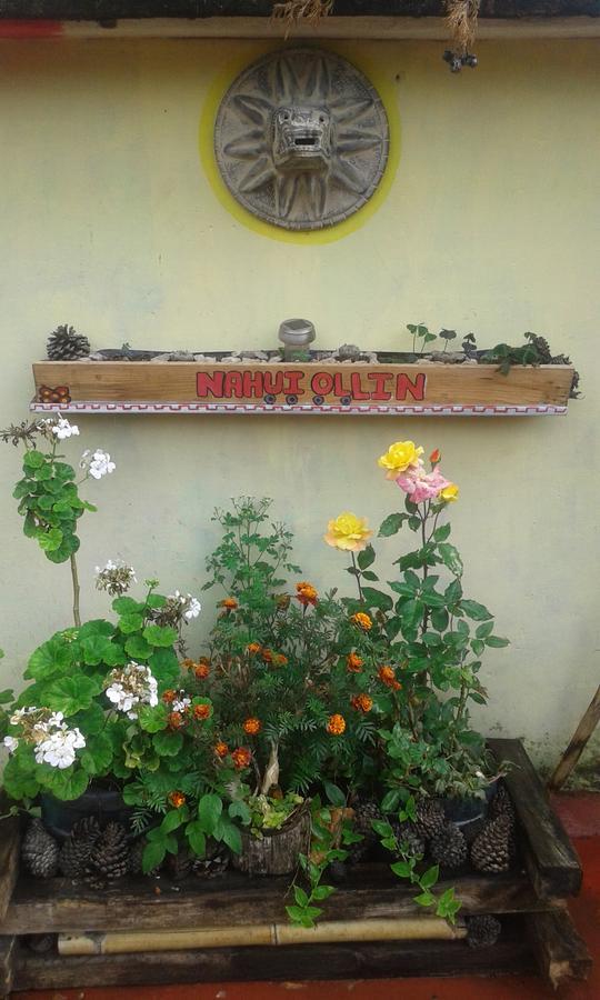 Hostal Nahui Ollin San Cristobal de las Casas Bagian luar foto
