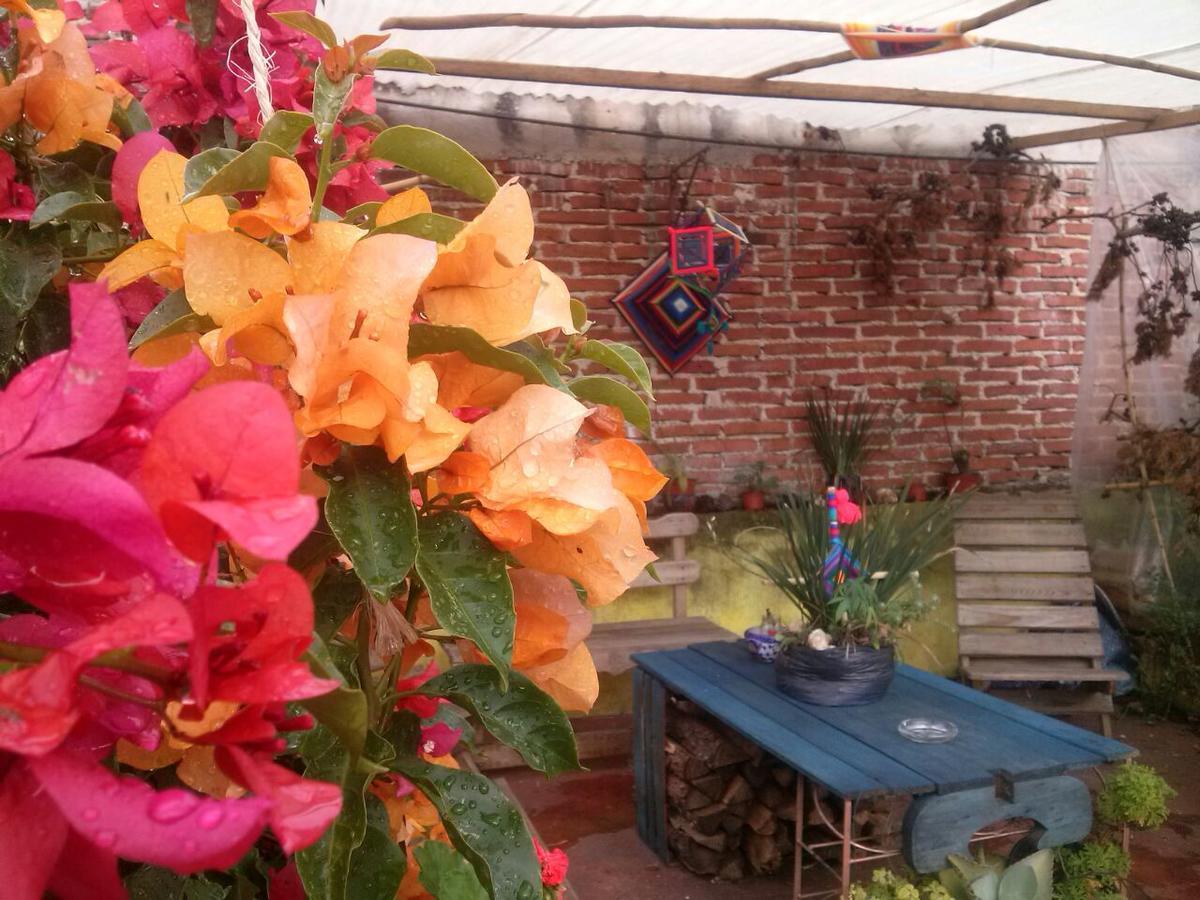 Hostal Nahui Ollin San Cristobal de las Casas Bagian luar foto